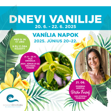 DAN VANILIJE