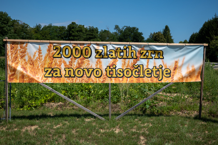 Dobrovnik_-_2000_semen_-_ZETEV_2025-1174530[1]