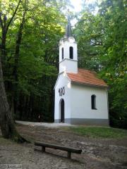 IMG_6501_bukovnisko_jezero_kapela_sv_vida_big_36